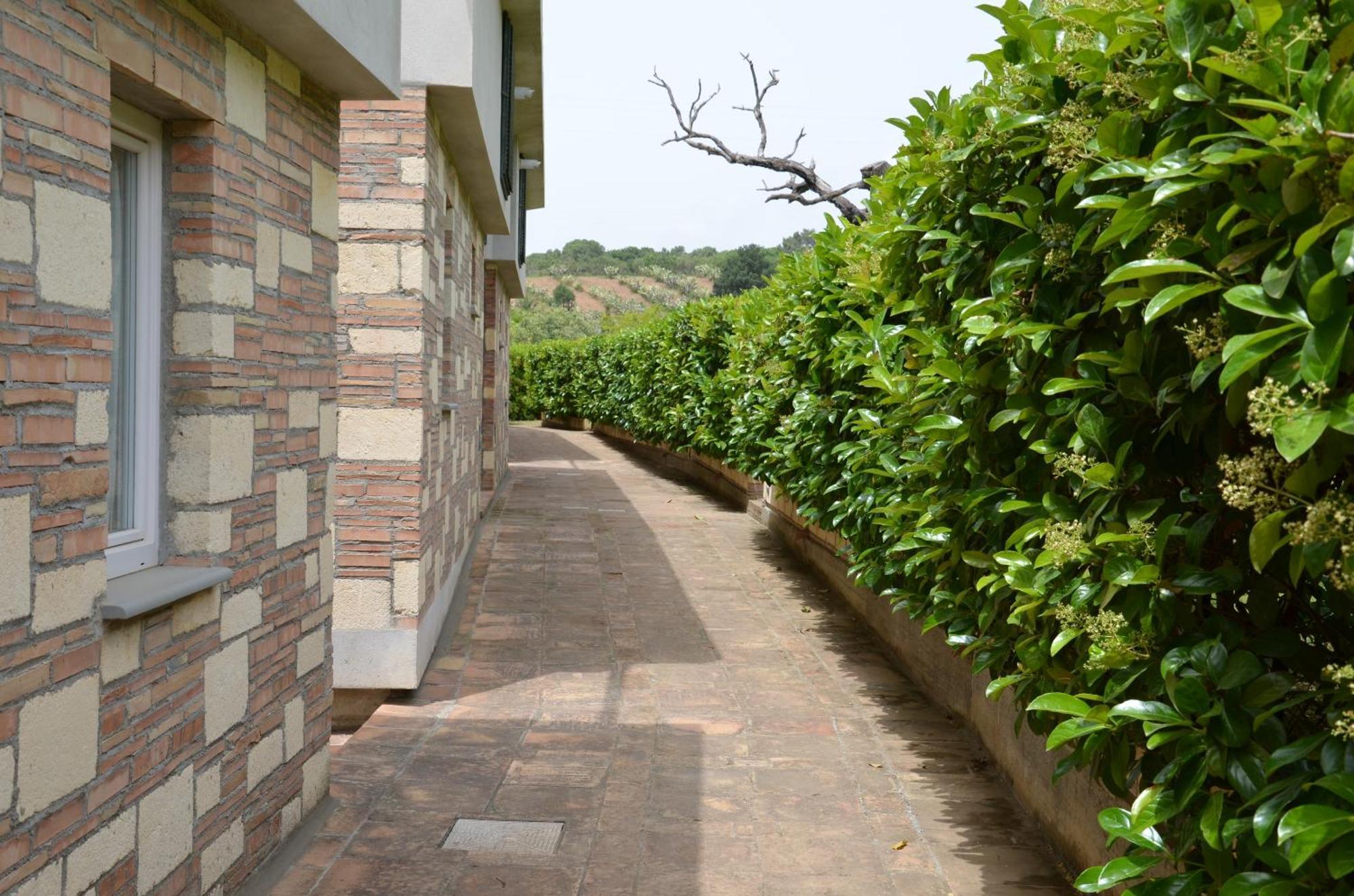 Borgo Piazza Bed and Breakfast Catanzaro Rum bild