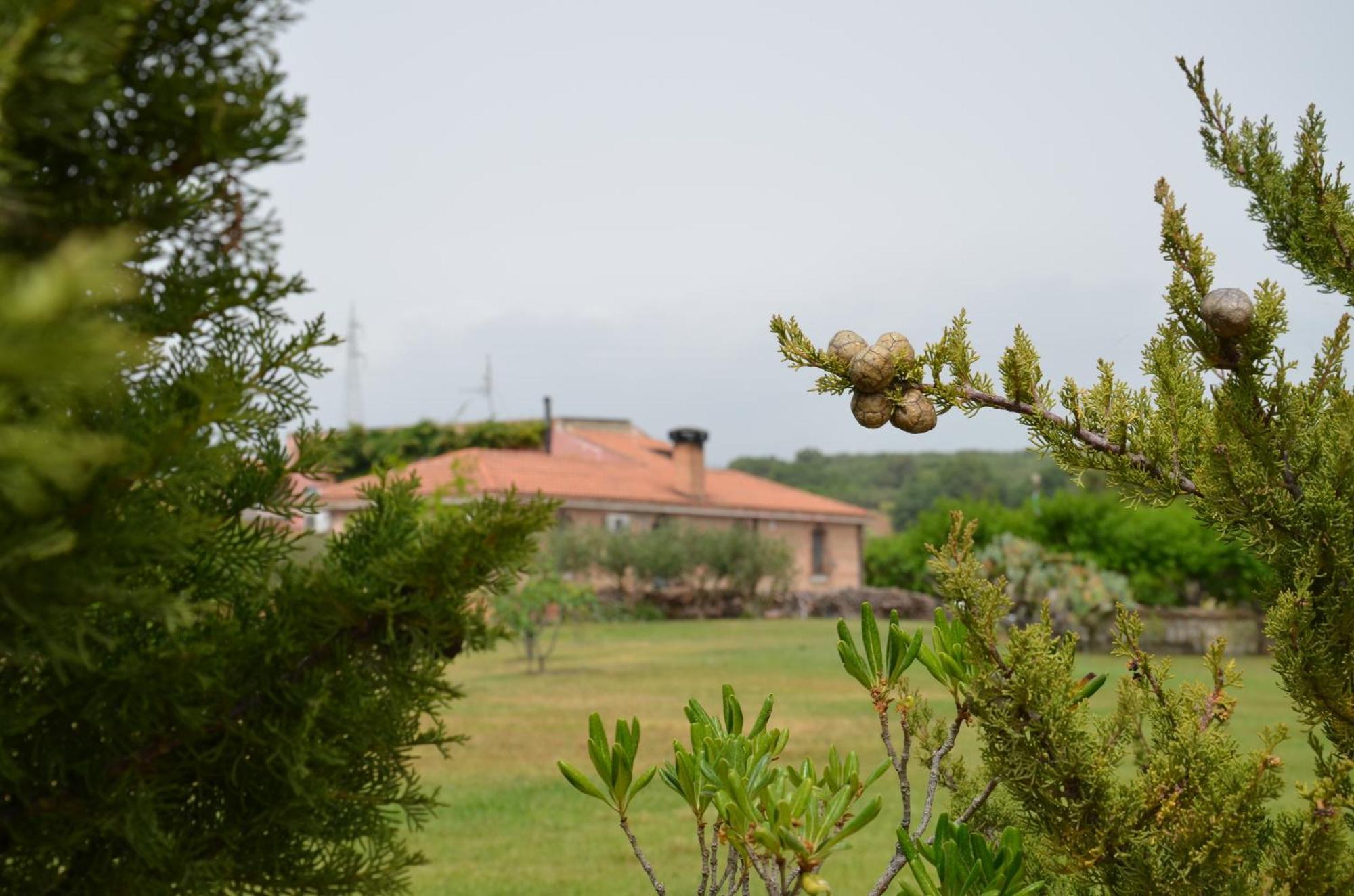 Borgo Piazza Bed and Breakfast Catanzaro Rum bild